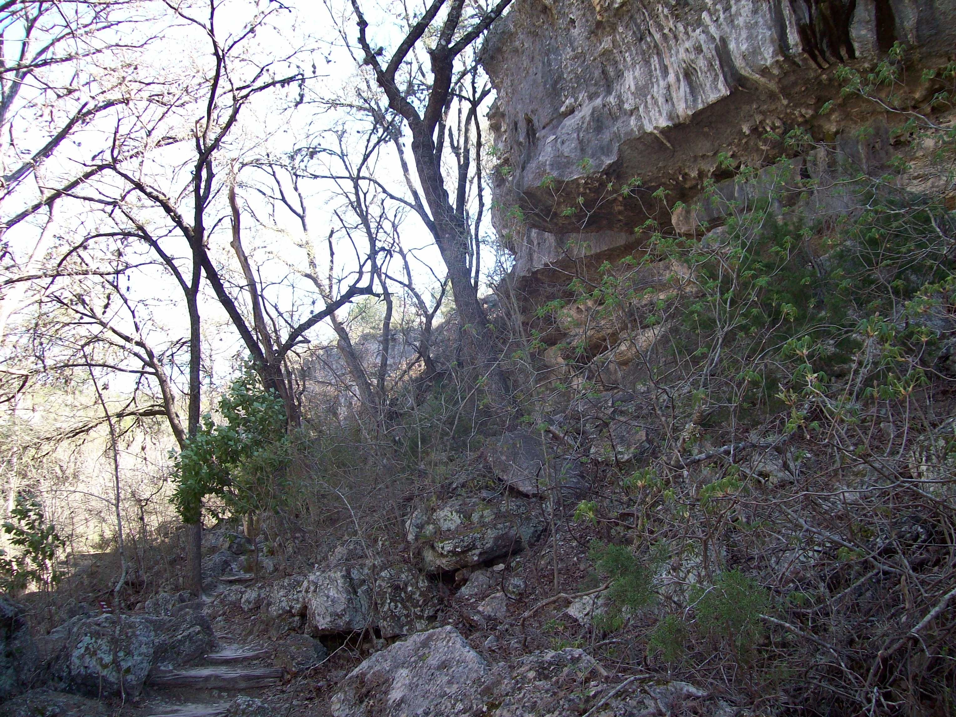 2010-03-12-Hamilton Pool-07.jpg